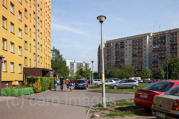 00P180429D272CAROEX.JPG