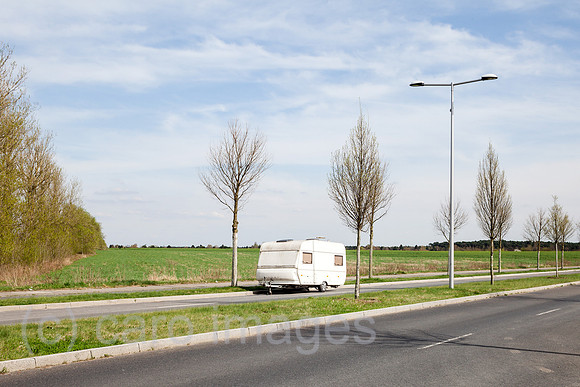00P180415D212CAROEX.JPG