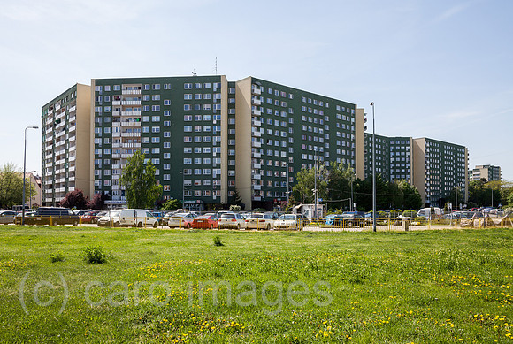 00P180428D252CAROEX.JPG