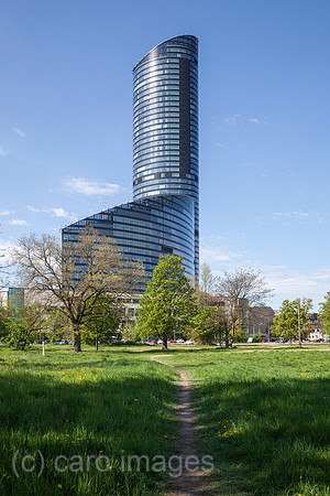 00P180428D232CAROEX.JPG