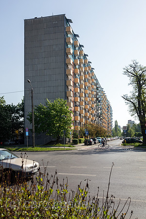 00P180429D267CAROEX.JPG