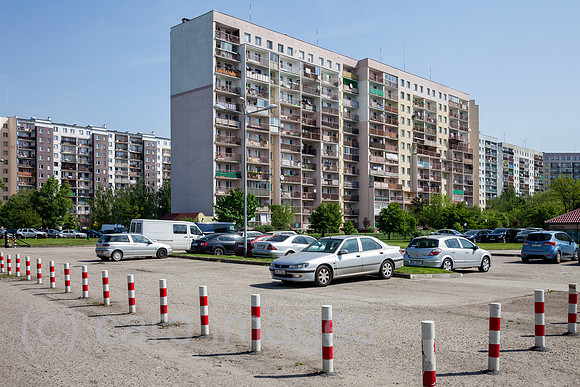 00P180429D280CAROEX.JPG