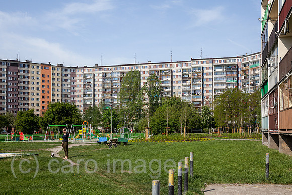 00P180429D275CAROEX.JPG