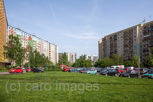 00P180429D273CAROEX.JPG
