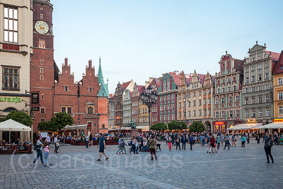 00P180428D261CAROEX.JPG