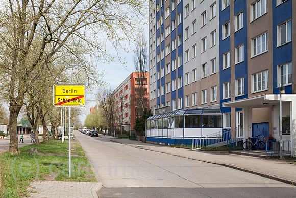 00P180415D213CAROEX.JPG