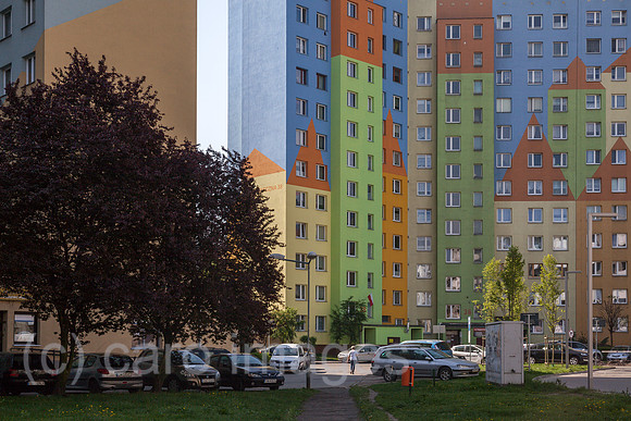 00P180429D270CAROEX.JPG