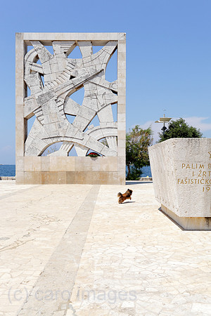 00P130623D026CARO.JPG