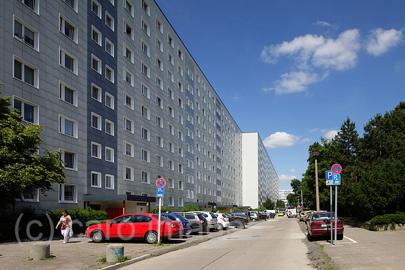 00P130610D029CARO.JPG