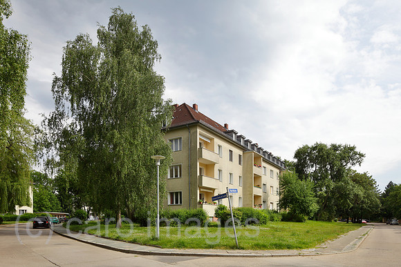 00P130615D014CARO.JPG