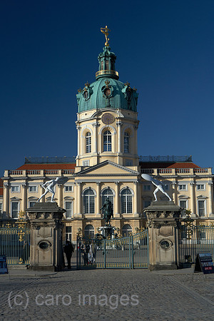 00R110307D046CARO.JPG