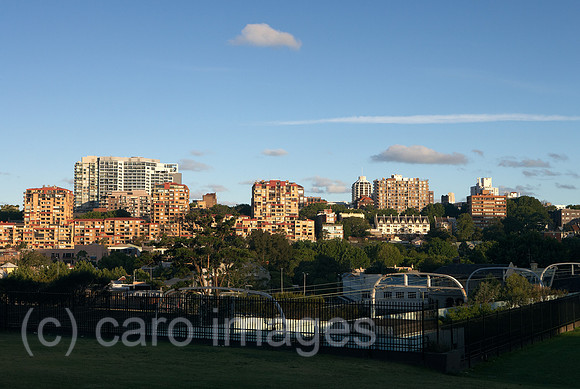 00R091202D264CARO.JPG