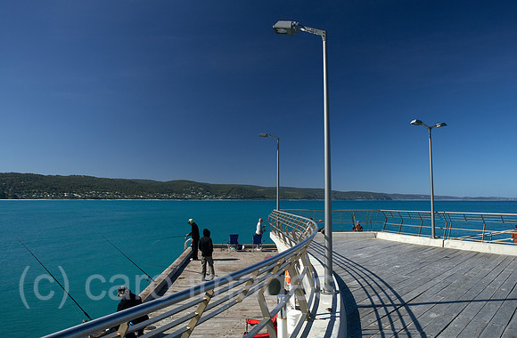 00R091214D230CARO.JPG