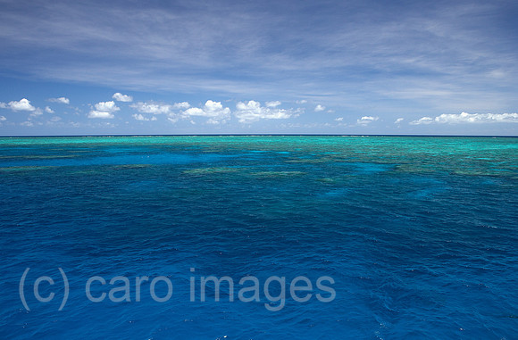 00R091209D037CARO.JPG