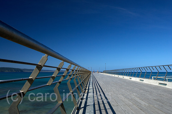00R091214D221CARO.JPG