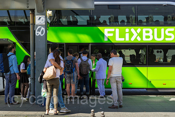 0MC180508D413CAROEX.JPG