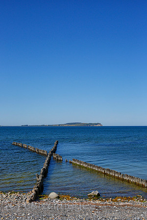 0PS180607D002CAROEX.JPG