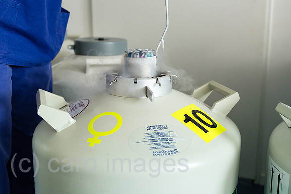 0MC180222D112CAROEX.JPG