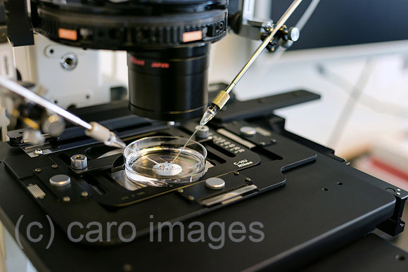 0MC180222D055CAROEX.JPG