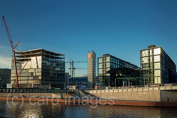 0MC181205D949CAROEX.JPG