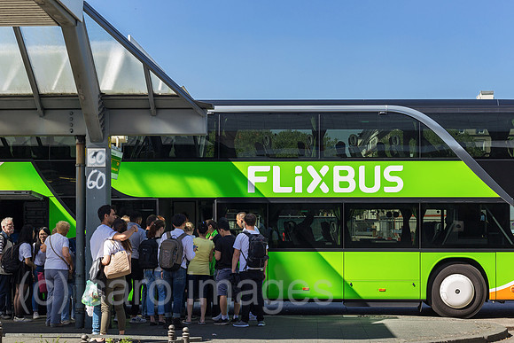 0MC180508D407CAROEX.JPG