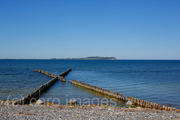 0PS180607D001CAROEX.JPG