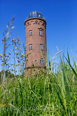 0PS180607D007CAROEX.JPG