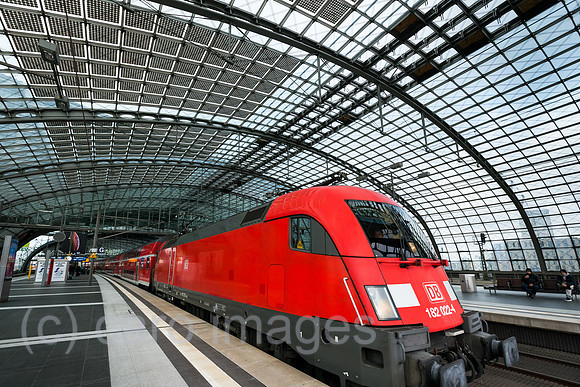 0MC181210D063CAROEX.JPG