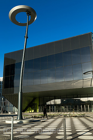 0MC181205D901CAROEX.JPG