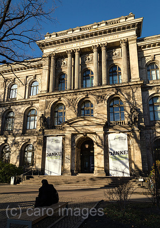 0MC181205D888CAROEX.JPG