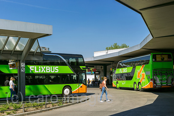 0MC180508D423CAROEX.JPG