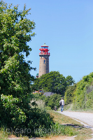 0PS180607D006CAROEX.JPG
