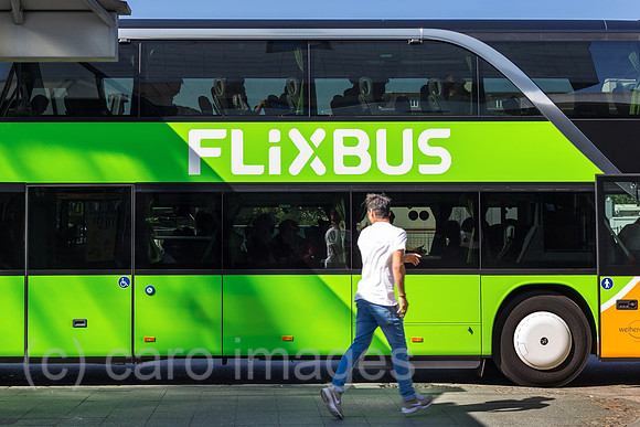 0MC180508D430CAROEX.JPG