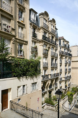 00R180807D007CAROEX.JPG