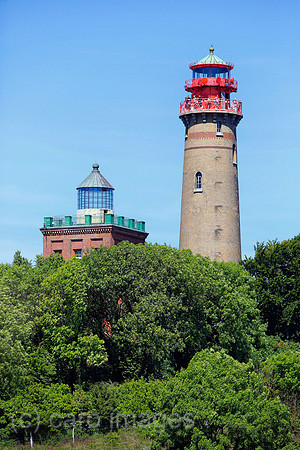 0PS180607D008CAROEX.JPG