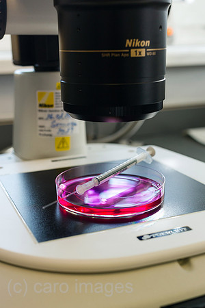 0MC180222D085CAROEX.JPG