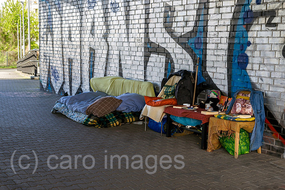 0MC180425D951CAROEX.JPG