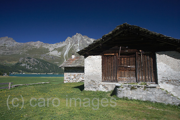 00R120828D029CARO.JPG