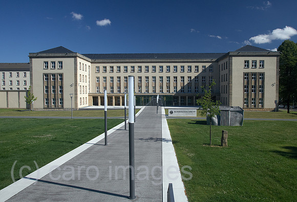 00R120812D095CARO.JPG