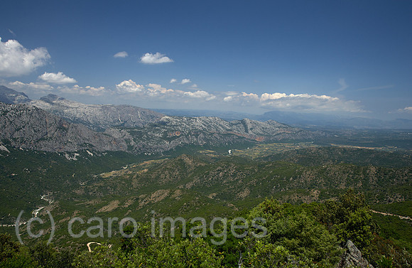 00R120527D001CARO.JPG