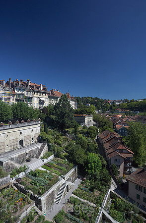 00R120827D033CARO.JPG