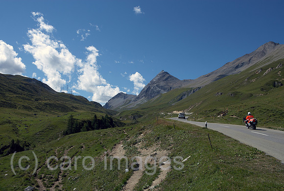 00R120829D062CARO.JPG