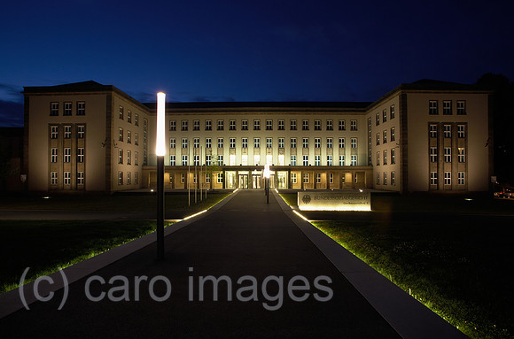 00R120810D099CARO.JPG
