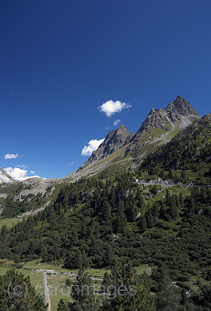 00R120829D069CARO.JPG