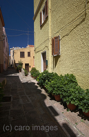 00R120523D054CARO.JPG