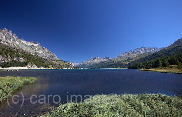 00R120828D041CARO.JPG