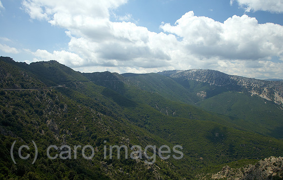 00R120527D004CARO.JPG