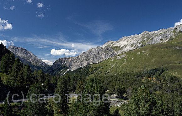 00R120829D071CARO.JPG
