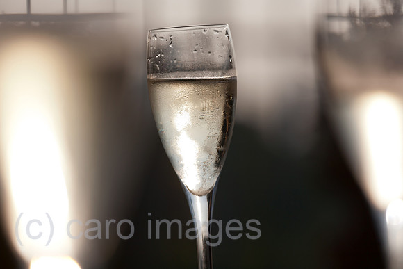 00A070525D006CARO.JPG