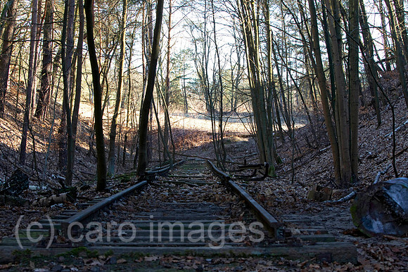 EJH11040867CAROE.JPG